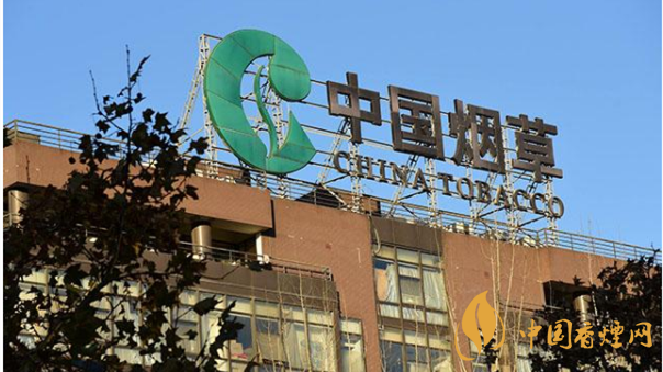 香煙漲價(jià)最新消息2020：香煙漲價(jià)真的能控?zé)焼?>
                                    <span>香煙漲價(jià)最新消息2020：香煙漲價(jià)真的能控?zé)焼?/span>
                                    <p>現(xiàn)在我國(guó)煙民的基數(shù)在不斷增大，而且有越來(lái)越多的青少年加入吸煙</p>
                                </a>
                            </li>
                                                                                </ul>
                    </div>

                </div>
            </div>
        </div>
    </div>

    
<link rel=