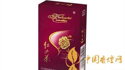 紅山茶紫市值多少錢？紅山茶紫口味如何？