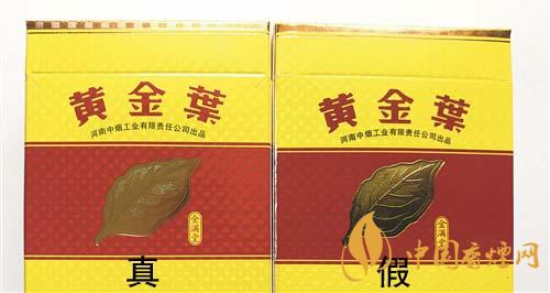 如何辨別黃金葉金滿堂真假？2020黃金葉真假辨別詳情對比