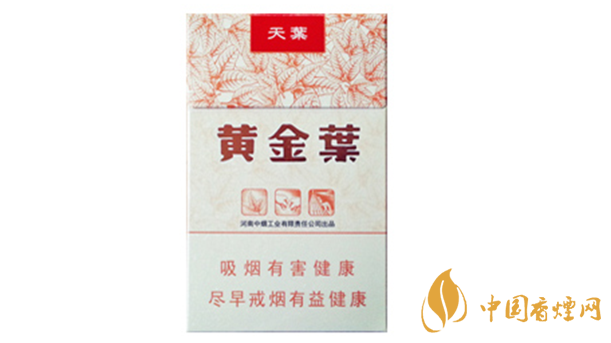 黃金葉天葉真?zhèn)卧趺幢鎰e？天葉真假如何看？