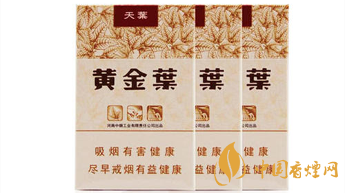 2020黃金葉天葉怎么樣？黃金葉大小天葉有什么不同