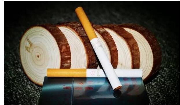 黃鶴樓游泳回歸，爺爺輩最喜愛的香煙品牌