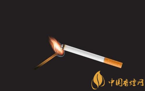 香煙的藥用價值有哪些，止血止痛放腳臭