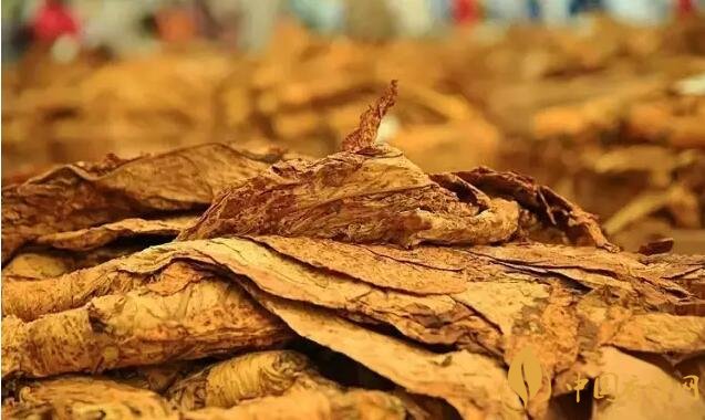 津巴布韋煙葉為什么好，黃金煙葉成為國(guó)寶