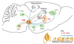 煙癮是什么 煙癮犯了怎么辦！