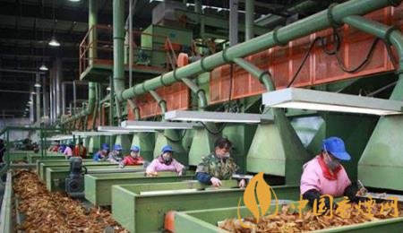 奮戰(zhàn)2020元春卷煙市場 需要從這三方面開始布局！