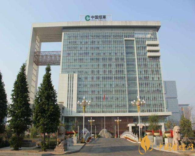 3.5億煙民1年為國家貢獻1.2億！專家：卷煙太便宜，要漲價